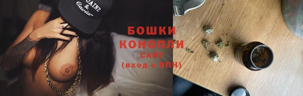СК Гусь-Хрустальный