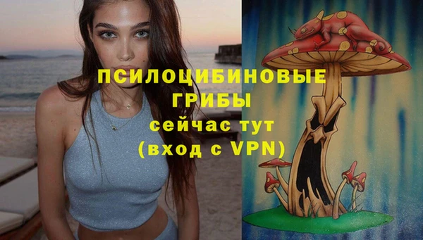 СК Гусь-Хрустальный