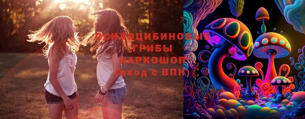 мяу мяу мука Горняк