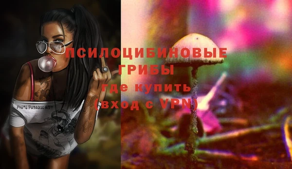 хмурый Горнозаводск