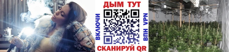 Шишки марихуана SATIVA & INDICA Сердобск